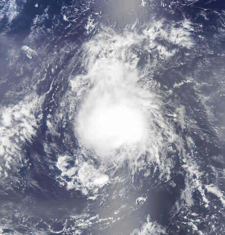 File:Joyce 2012.jpg