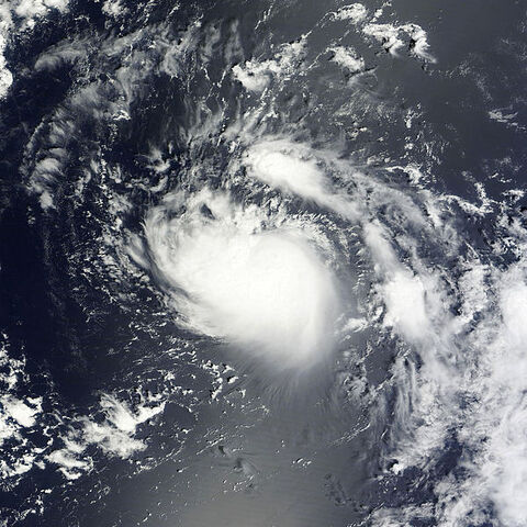 File:Gert (2011).jpg