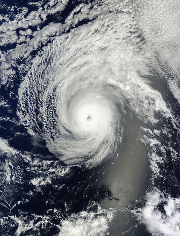 File:Iselle 2014.jpg
