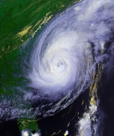 File:Gretchen 1981.jpg