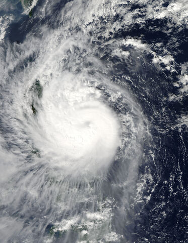 File:Nepartak.2020.jpg