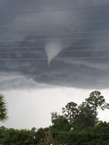 File:Manatee-funnel-cloud2-715.jpg