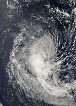 File:Lola 22 mar 2008 1000Z.jpg