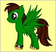 Haha Pony
