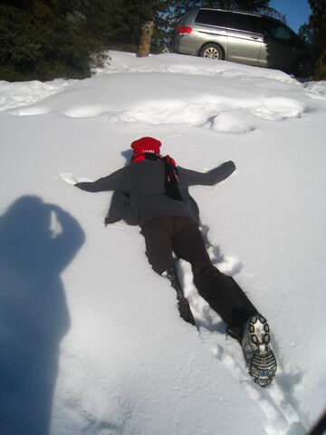 File:Snow.jpg