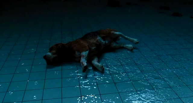 File:MovieScreenshot140.jpg