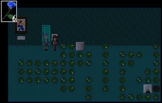 Cactus Terrace