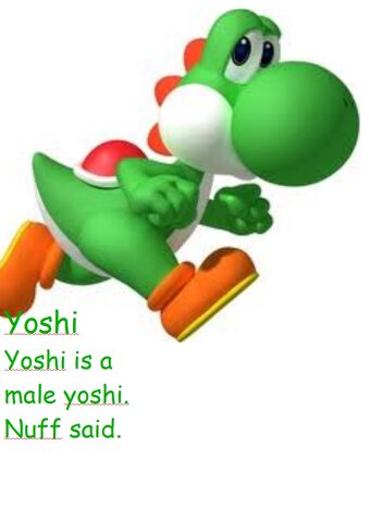 File:Yoshisiggy.jpg