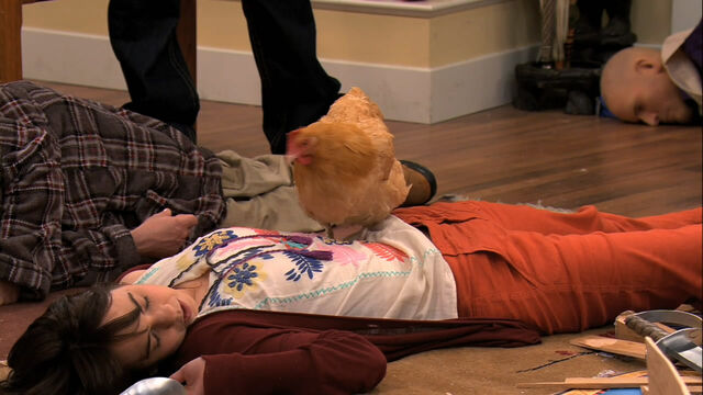 File:5-obedient-chicken.jpg