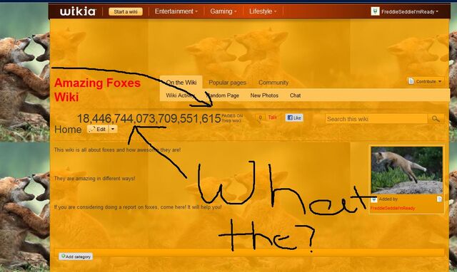 File:Whatthe.jpg