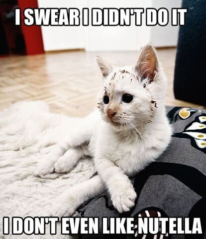 File:I don't even like Nutella.jpg