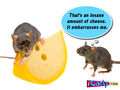 Thumbnail for version as of 13:40, July 25, 2012