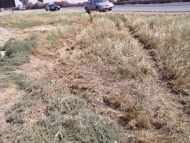 File:Car skidded.jpg