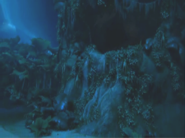 File:Momma's nest.png