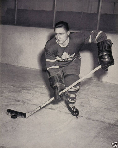 File:Fernflaman.jpg