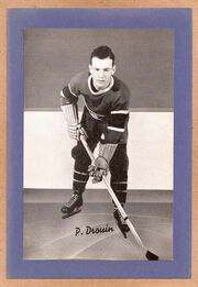 Pollydrouin
