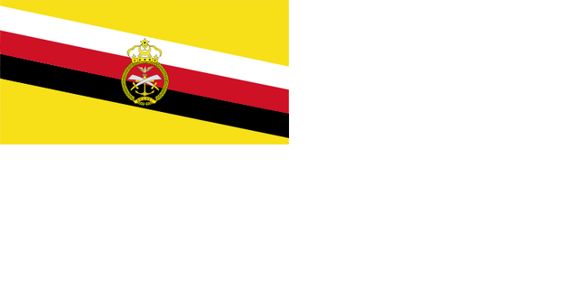 File:Naval Ensign of Brunei.png