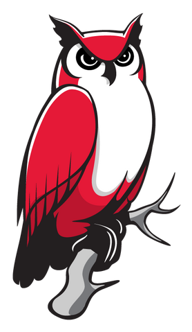 File:Keene State Owls logo.png