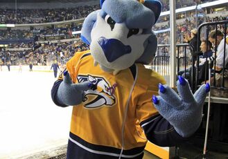 GNASH 2011HockeyFightsCancerNight024 slide