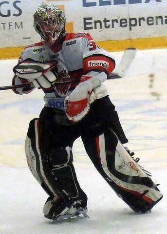 File:MichalZajkowskiMODO.jpg