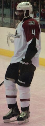 File:Shawn Belle.jpg
