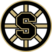 Sbruinslogo