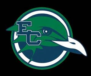 Endicott Gulls logo