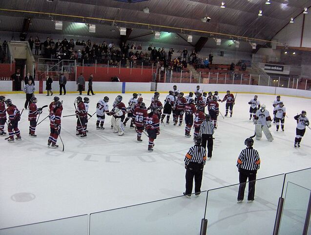 File:797px-Playoff Brampton-Montreal 002.jpg