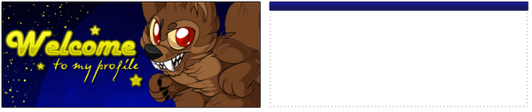 Profile Midnight