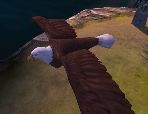 File:Eagle.jpg