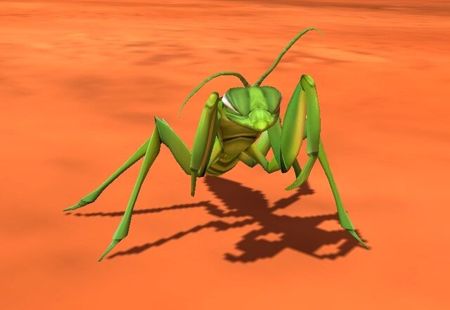 File:PrayingMantis.jpg
