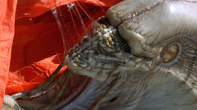 File:Independence Day Alien.jpg