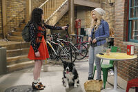 Dog Date Afternoon!3