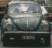 Angis Laubfrosch