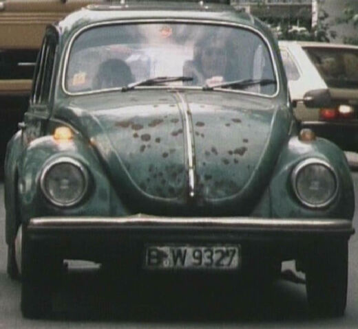Datei:Angis Laubfrosch.jpg