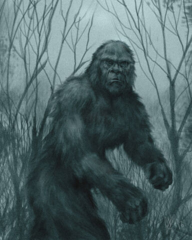 File:Sasquatch.jpg