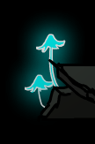 Mocoashrooms