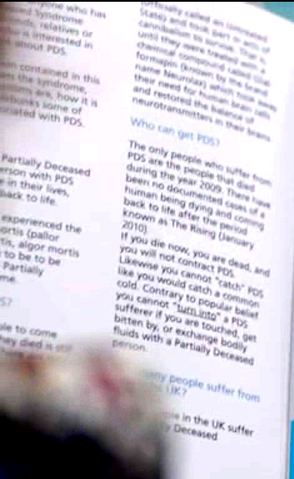 File:Pamplet 2.png