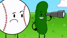 12 Pickle