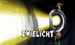 Zwielicht Wii.png