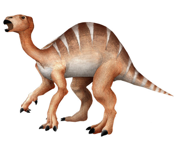 File:Iguanodon.jpg
