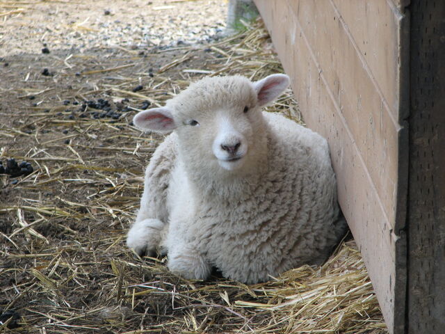 File:Cute!.jpg
