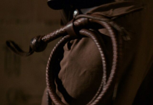 File:Whip.jpg