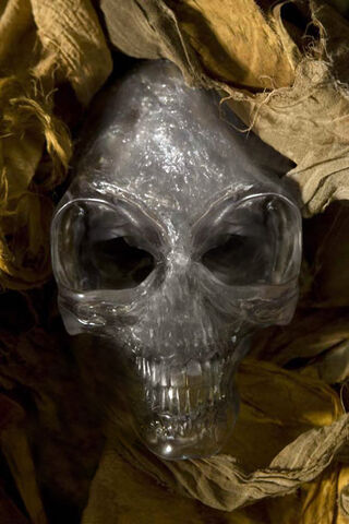File:CrystalSkull.jpg