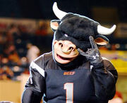 Omahamascot