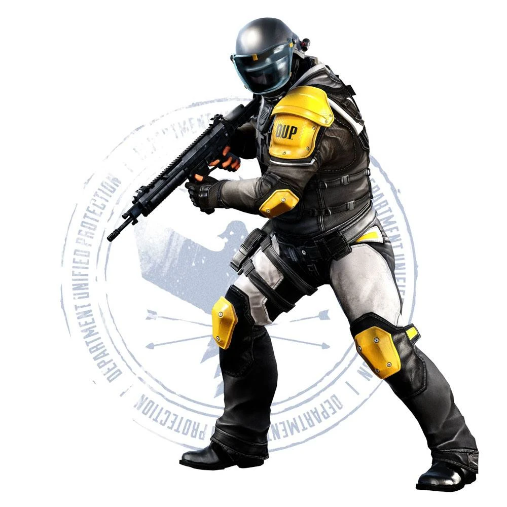 Image result for Image of the DUP