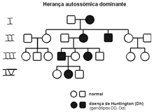 DH.Figura3.jpg.gif