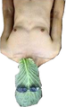 Thumbnail for version as of 00:27, February 14, 2011