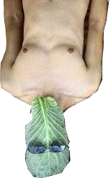 File:Upside down regerse.png