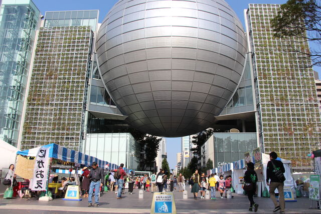 ファイル:MSDN2008.jpg